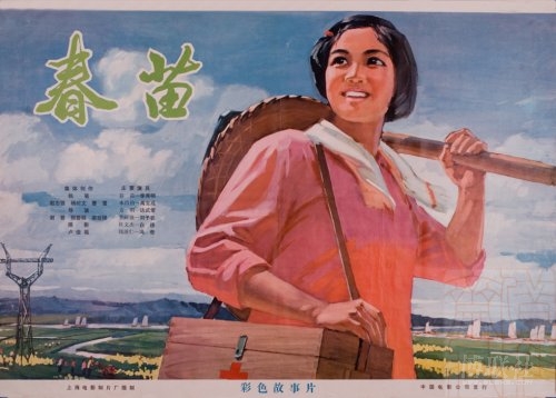 台湾人签合同用什么身份证